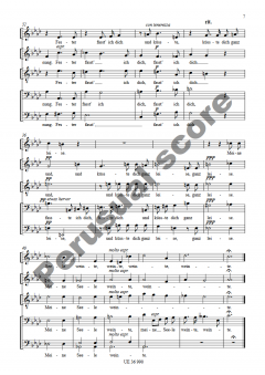 3 Lieder aus op. 29, op. 32 und op. 15 von Richard Strauss 