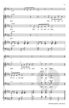 Winter Lights von Audrey Snyder (Download) 