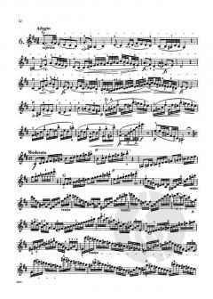 24 Caprices von Pierre Rode 