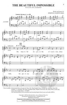The Beautiful Impossible von Joseph M. Martin (Download) 