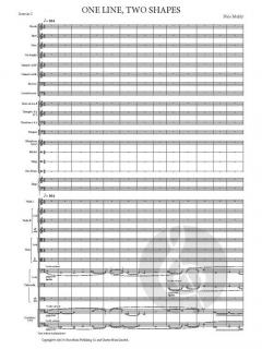 One Line, Two Shapes von Nico Muhly (Download) 