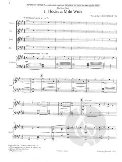 The Lost Birds von Christopher Tin (Download) 