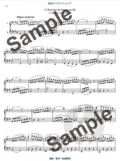40 Melodic Progressive Exercises op. 31  