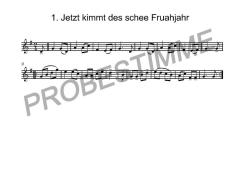 Zweisam durchs Jahr - 2. Stimme in B 