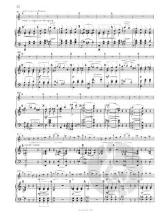 Violinsonate Nr. 1 e-moll op. 73 von Joachim Raff 
