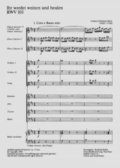Ihr werdet weinen und heulen (J.S. Bach) 