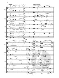 Terra Memoria von Kaija Saariaho (Download) 