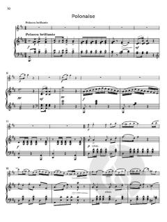 Sonatine No. 3 op. 388 von Wilhelm Popp (Download) 