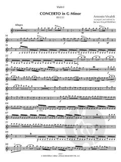 Concerto in G minor 