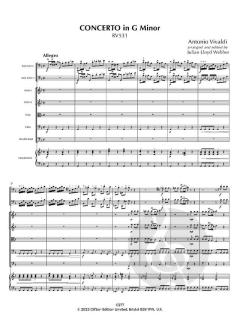Concerto in G minor 