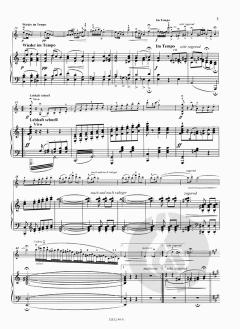 Zigeuner-Weise 