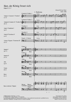 Herr, der König freuet sich (Johann Michael Bach) 