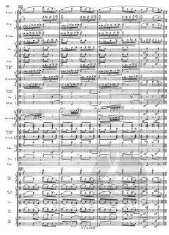 The Rite of Spring von Igor Strawinsky 