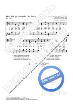 Gott, heil'ger Schöpfer aller Stern d-Moll von Michael Praetorius (Download) 