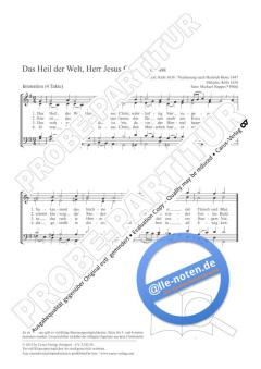 Das Heil der Welt, Herr Jesus Christ von Michael Hoppe (Download) 