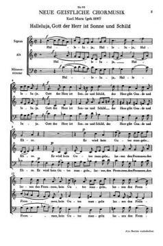 Ich rede von deinen Zeugnissen (Download) 