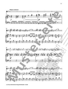 Concerto op.35 von Oskar Rieding 