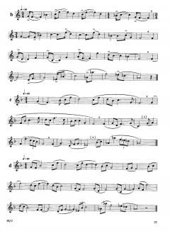 Orchestral Studies Vol. 2 von Rob Roy McGregor 