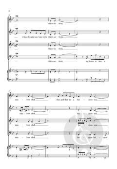 A Birthday von Jussi Chydenius (Download) 