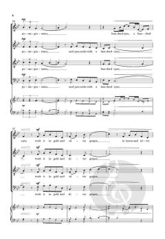 A Birthday von Jussi Chydenius (Download) 