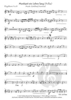 Musikant ein Leben lang von Gottfried Hummel 