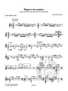 Pájaros sin camino von José-Luis Narvaez 