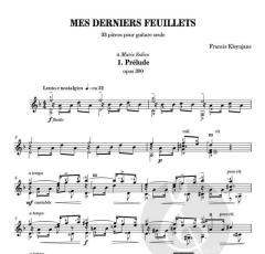 Mes Derniers Feuillets - 33 Pièces von Francis Kleynjans 
