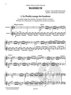 Mandolin von Vincent Beer-Demander 