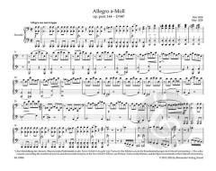 Allegro a-Moll op. post. 144 D 947 "Lebensstürme" von Franz Schubert (Download) 