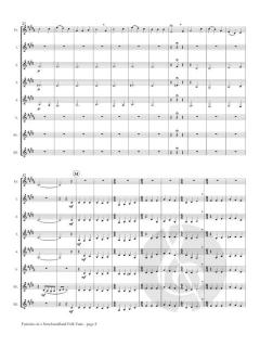 Fantasia on a Newfoundland Folk Song von Nancy Nourse 