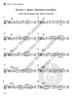 Lick Library - Alto & Bari Sax von Peter Blair (Download) 