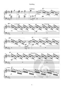 Nachtflug von Julia Hannelore Rosenberger (Download) 