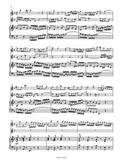 Violinkonzert d-Moll BWV 1043 von Johann Sebastian Bach 