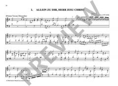 Sämtliche Orgelwerke: Meister der Nordeutschen Orgelschule Band 7 von Johann Praetorius im Alle Noten Shop kaufen