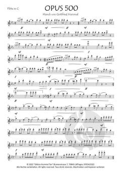 Opus 500 von Gottfried Hummel 