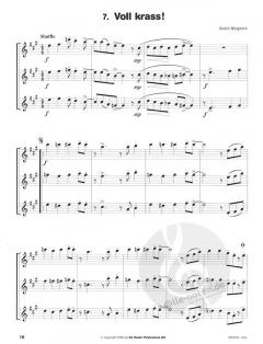 Hören, Lesen & Spielen Band 2 - Triobuch von Michiel Oldenkamp 