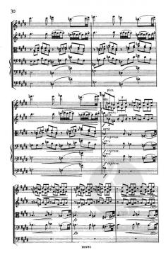 Serenade op. 6 von Josef Suk für Streichorchester (mit alternativer Version des Adagio (3. Satz) Takt 80-85) im Alle Noten Shop kaufen