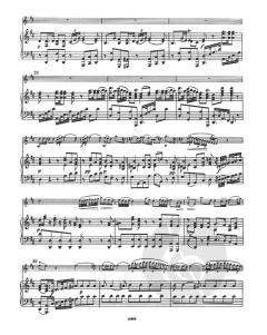 Flötenkonzert D-Dur Hob. VII/D1 von Joseph Haydn für Flöte und Streichorchester (Cembalo ad lib.) im Alle Noten Shop kaufen