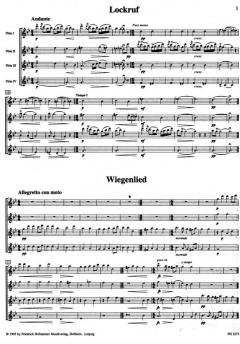 Kobold und 12 andere Stücke von Edvard Grieg 