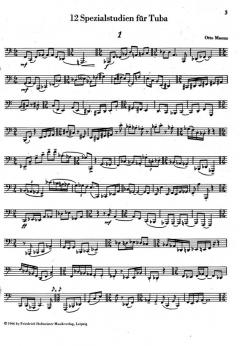 12 Spezialstudien von Otto Maenz 