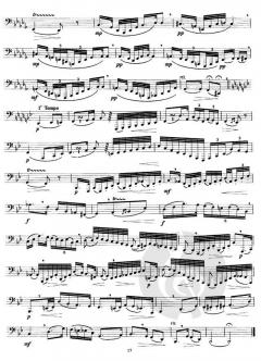 Zehn große 'Concert-Etüden' von Oscar Franz 