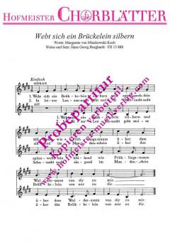 Webt sich ein Brückelein silbern (Hans-Georg Burghardt) 