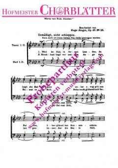 Heimatsehnen (Weit im Süd') (Stephen Foster) 