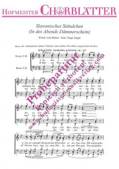Slavonisches Ständchen (In des Abends Dämmerschein) 