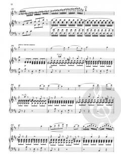 Konzert h-moll für Flöte und Orchester von Francois-Joseph Fétis im Alle Noten Shop kaufen