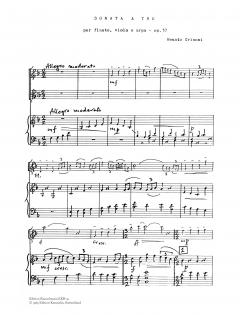 Sonata a tre per flauto, viola e arpa (Renato Grisoni) 