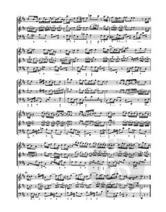 12 Methodische Sonaten TWV 4:41 von Georg Philipp Telemann 