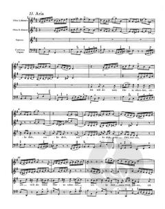 Matthäus-Passion BWV 244 von Johann Sebastian Bach 