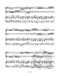 Konzert c-Moll von Johann Sebastian Bach 