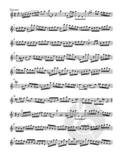 Partita in a-Moll BWV 1013 für Flöte solo von Johann Sebastian Bach (Download) 